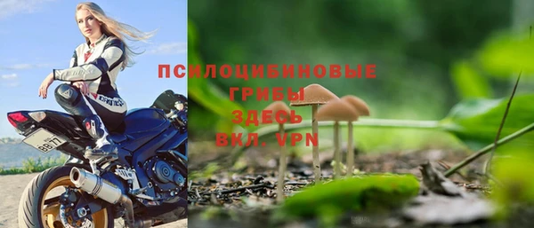 молекула духа Абинск