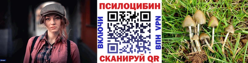 Псилоцибиновые грибы прущие грибы  MEGA зеркало  Усть-Кут 